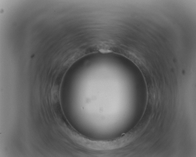 X0000083560034200702162039