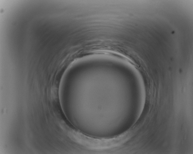 X0000083560035200702162039