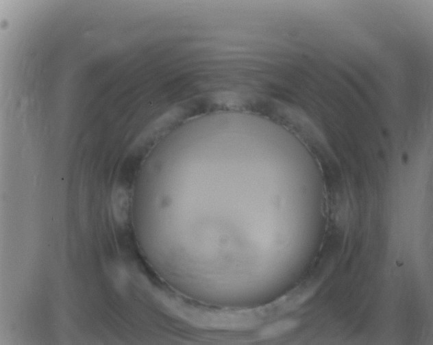 X0000083560036200702162039