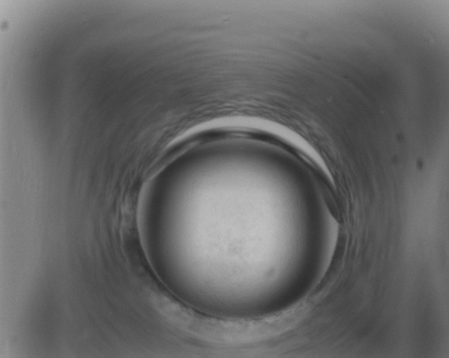 X0000083560037200702162039