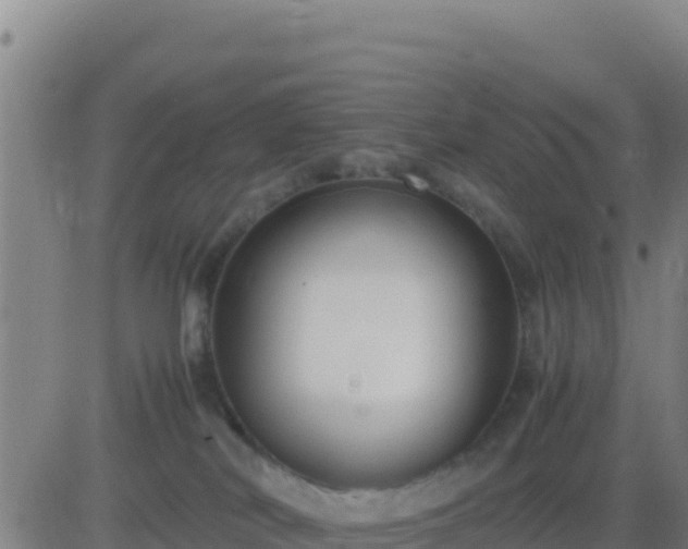 X0000083560038200702162039