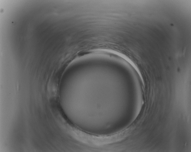 X0000083560039200702162039