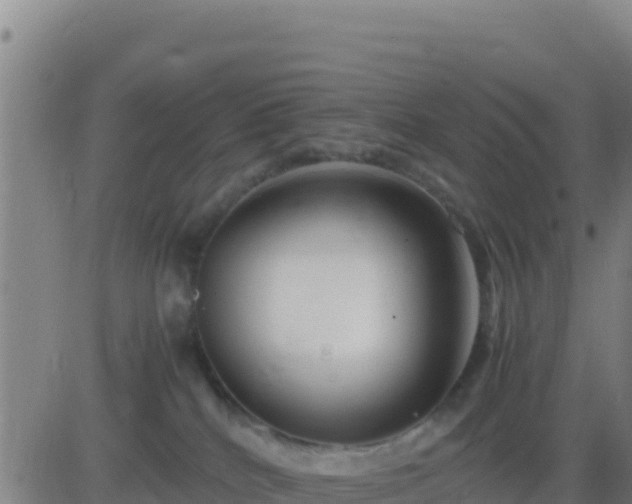 X0000083560040200702162039