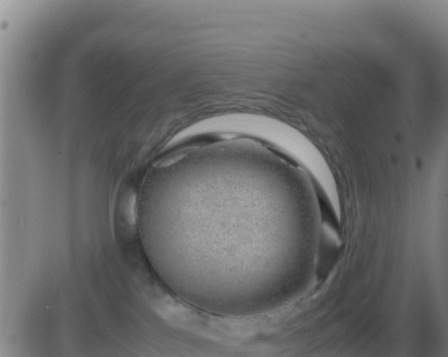 X0000083560041200702162039