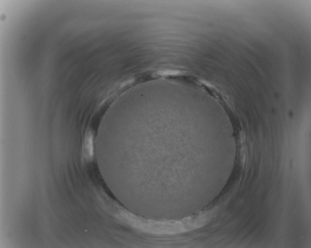 X0000083560042200702162039