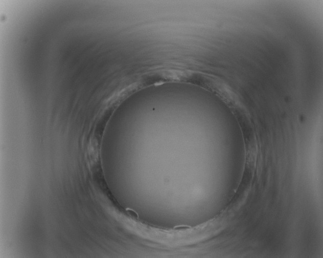 X0000083560043200702162039