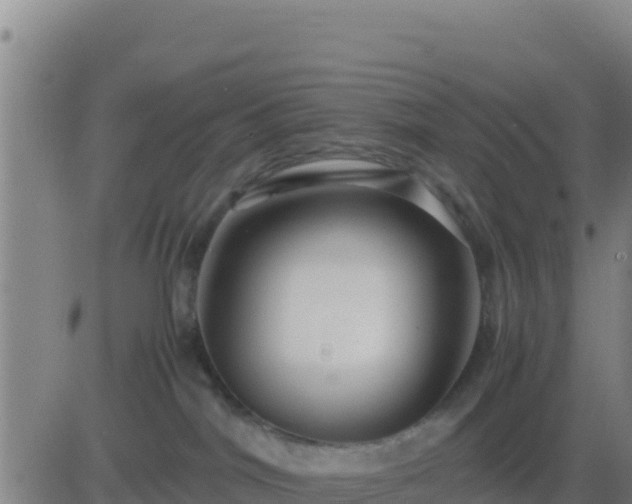 X0000083560044200702162039