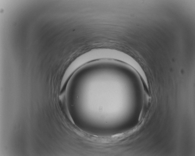 X0000083560045200702162038