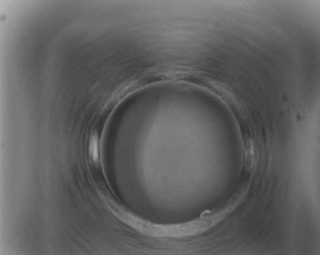 X0000083560046200702162038