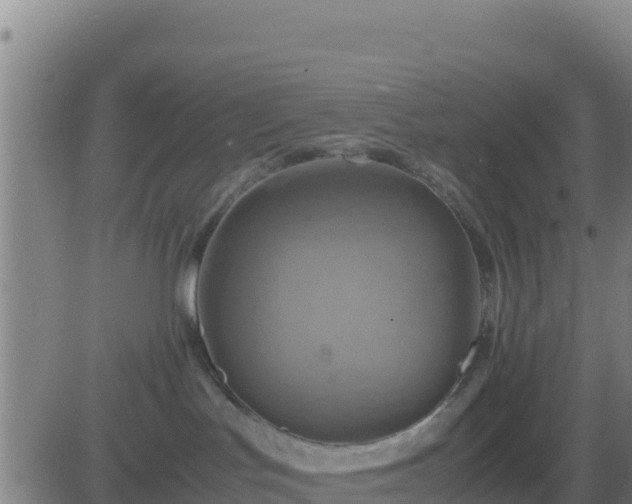 X0000083560047200702162038