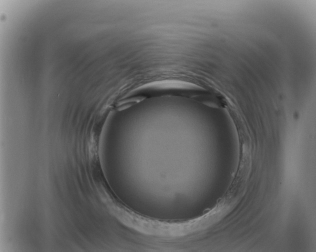 X0000083560048200702162038