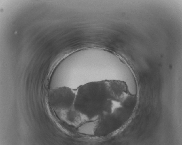 X0000083560049200702162038