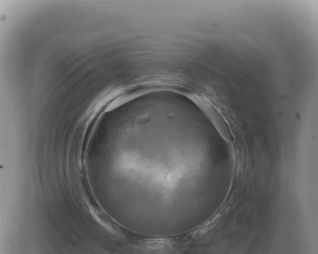 X0000083560050200702162038