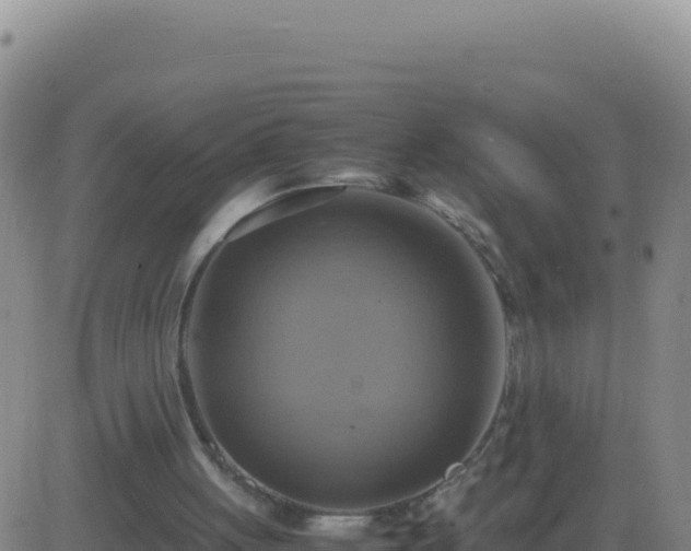 X0000083560051200702162038