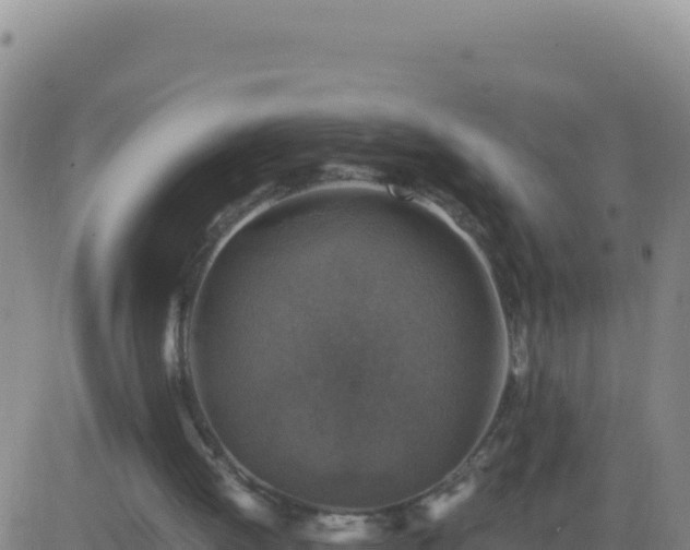 X0000083560052200702162038