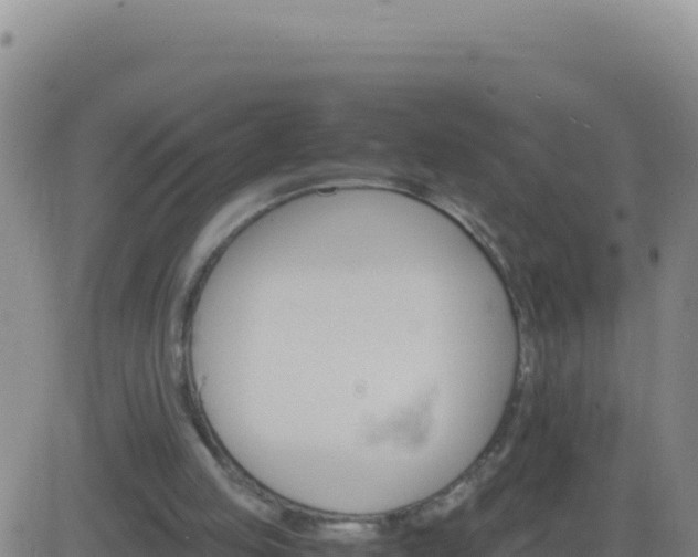 X0000083560053200702162038