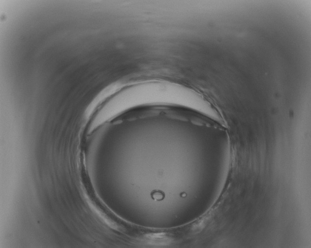 X0000083560054200702162038