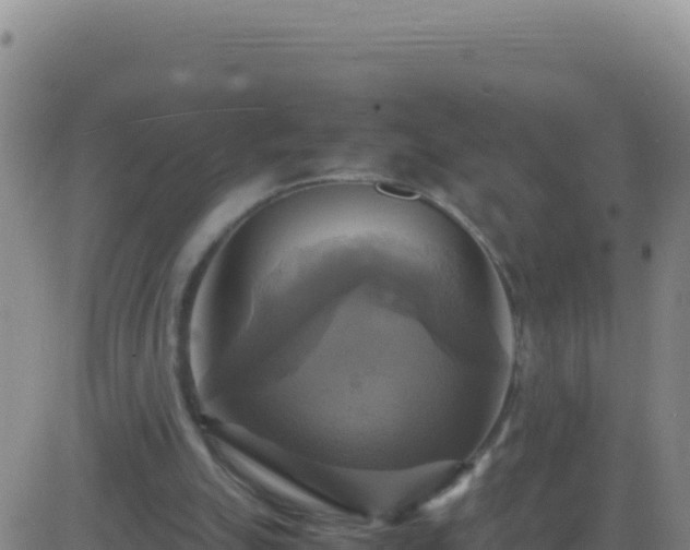 X0000083560055200702162038