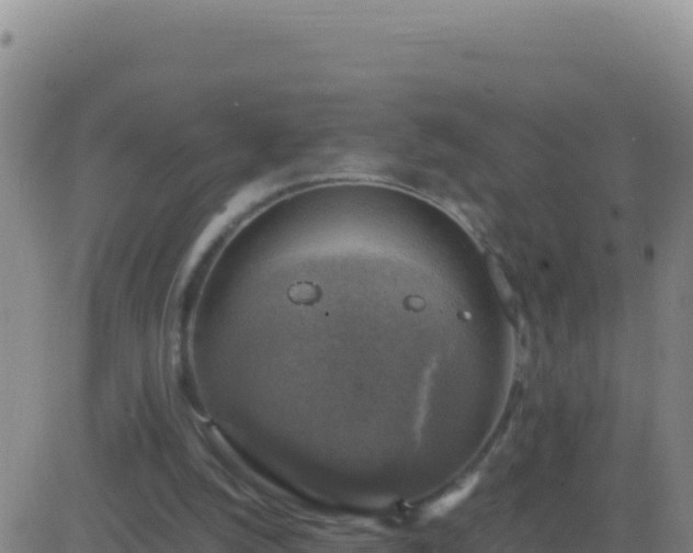 X0000083560056200702162038