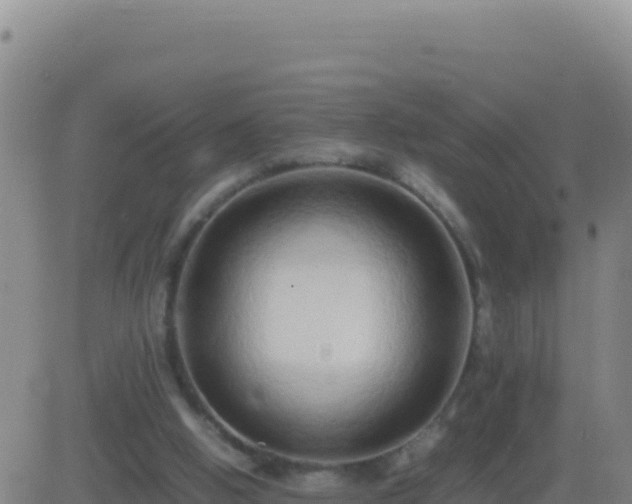 X0000083560058200702162038