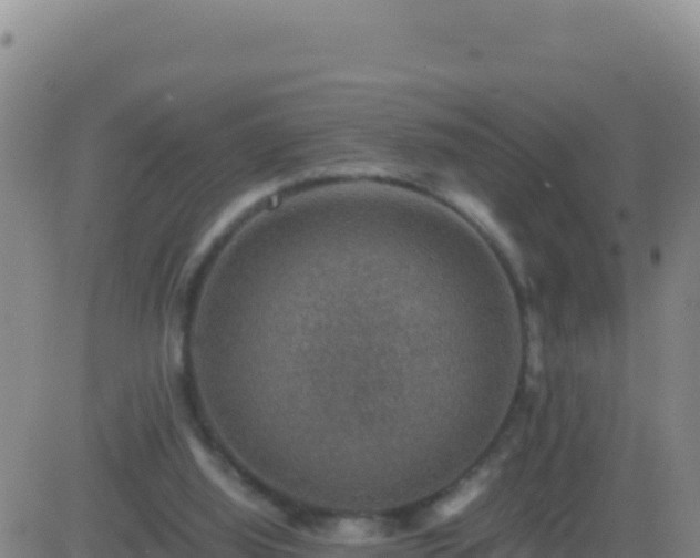 X0000083560060200702162038