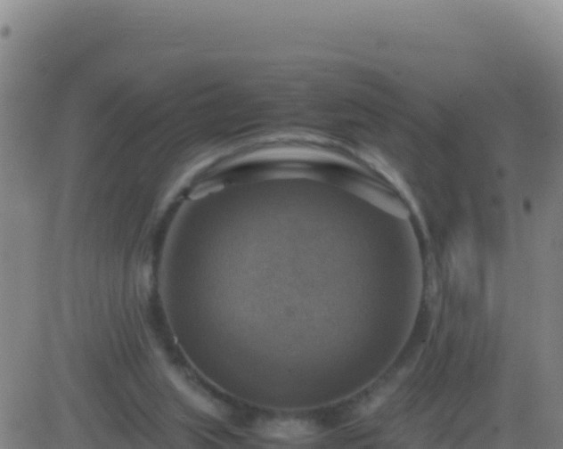 X0000083560063200702162038