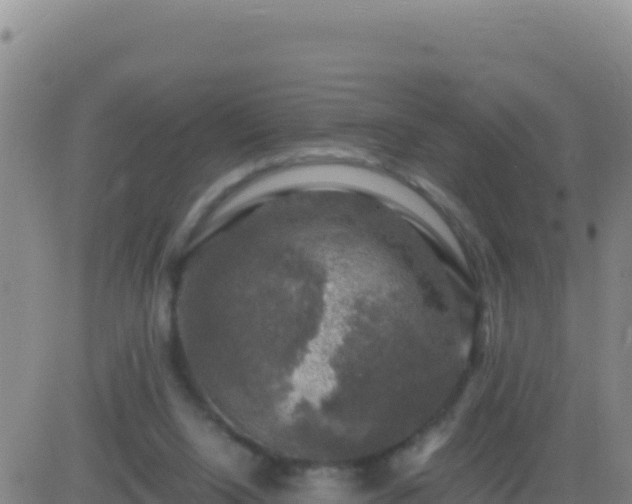 X0000083560064200702162038