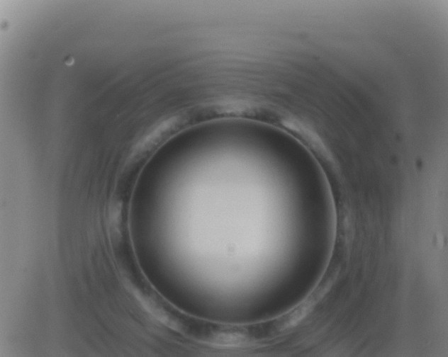 X0000083560066200702162038