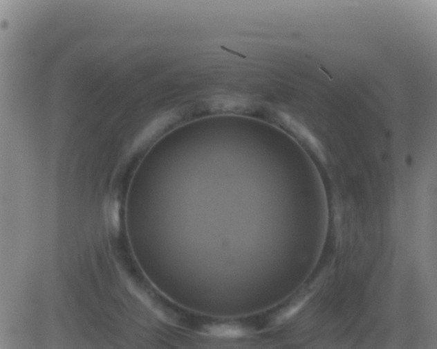 X0000083560067200702162038