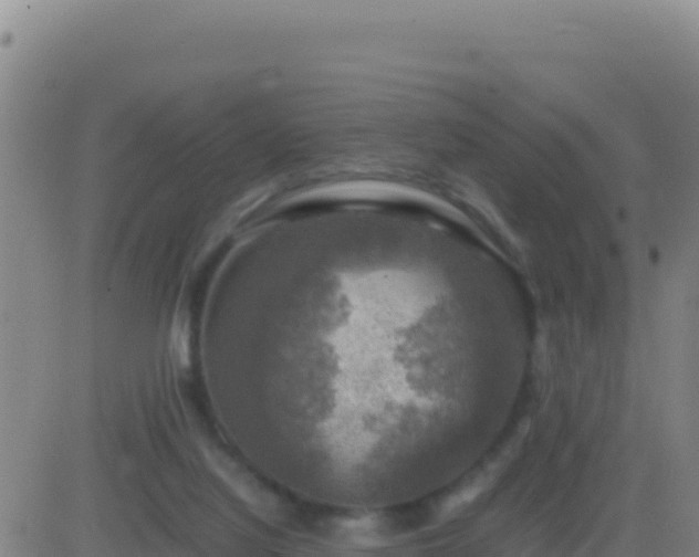 X0000083560068200702162038