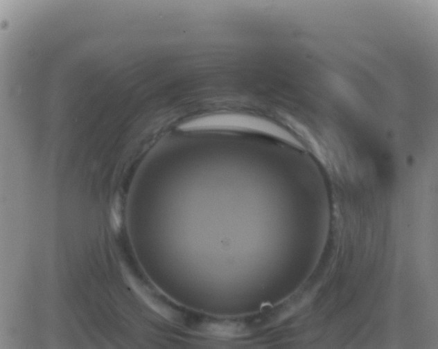 X0000083560069200702162038