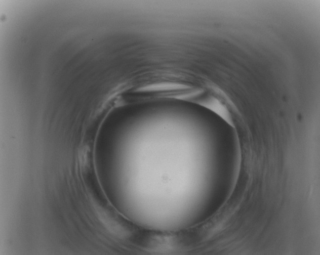 X0000083560071200702162038