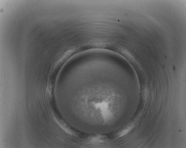 X0000083560072200702162038