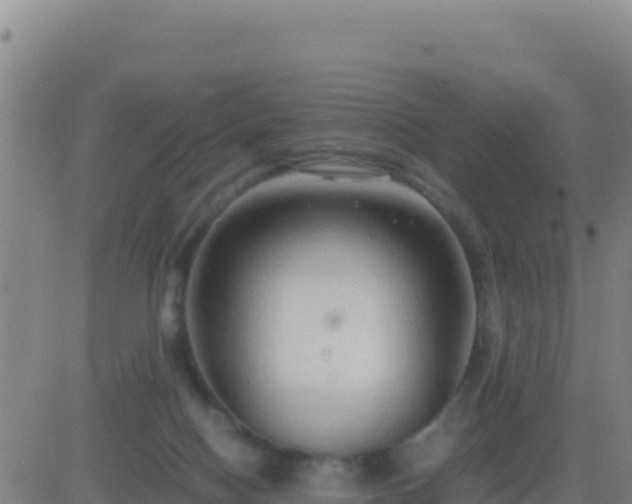 X0000083560074200702162038