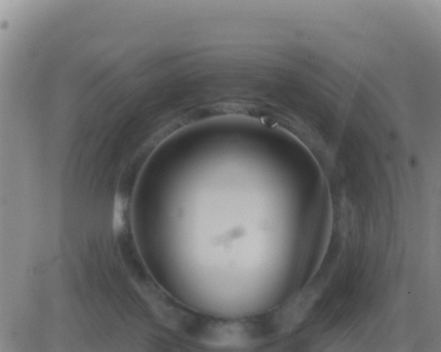 X0000083560075200702162038