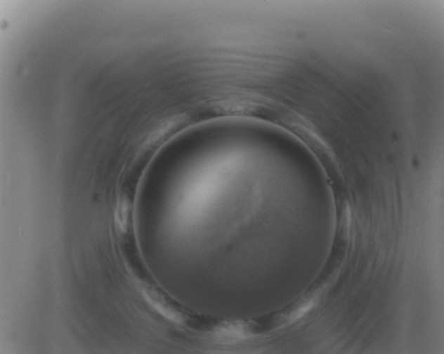 X0000083560076200702162038