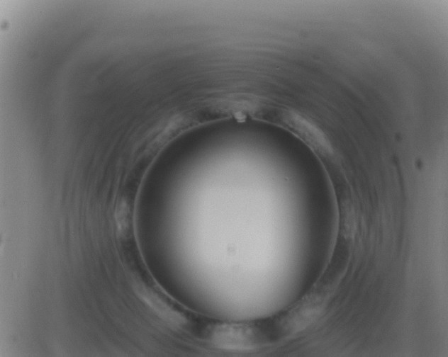 X0000083560077200702162038