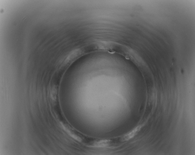 X0000083560078200702162038