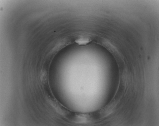 X0000083560079200702162038