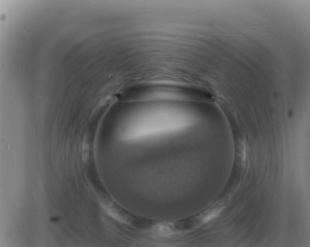 X0000083560080200702162038