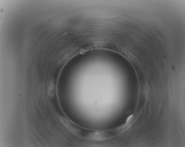 X0000083560082200702162038