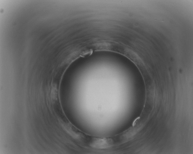 X0000083560083200702162038