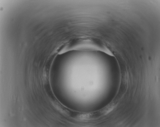 X0000083560084200702162038