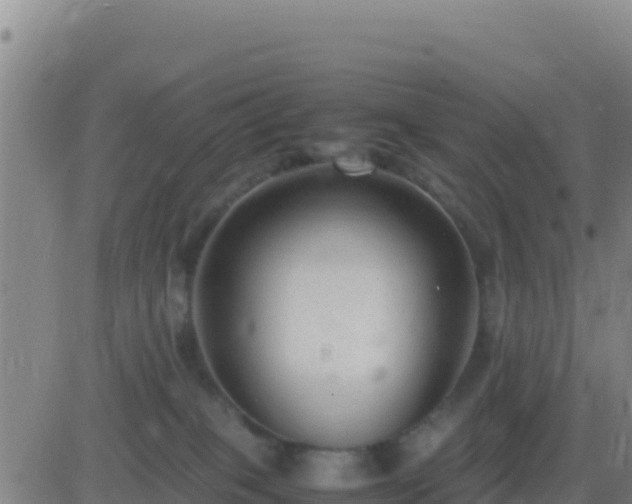 X0000083560085200702162038