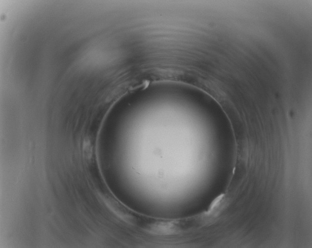 X0000083560086200702162038