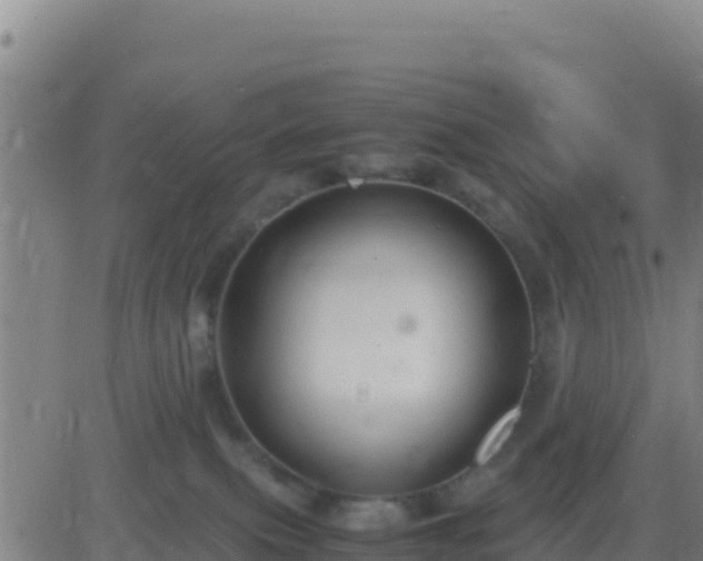 X0000083560087200702162038