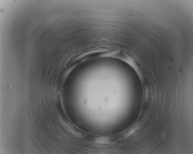 X0000083560088200702162038