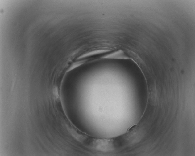 X0000083560089200702162038