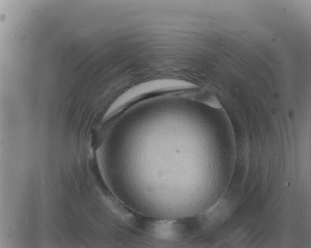 X0000083560090200702162038