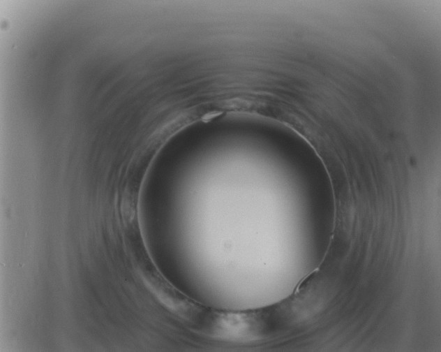 X0000083560091200702162038